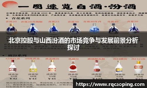北京控股与山西汾酒的市场竞争与发展前景分析探讨
